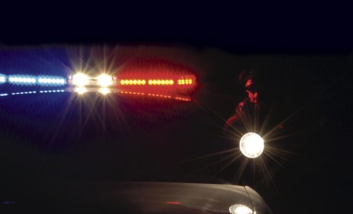 INSURING PUBLIC ENTITIES