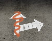 CONSTRUCTION INSURANCE MARKET ADJUSTING TO NEW CONDITIONS