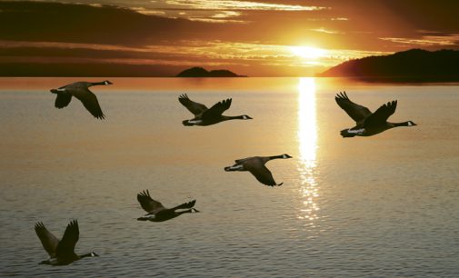 INTENTIONAL LEADERSHIP