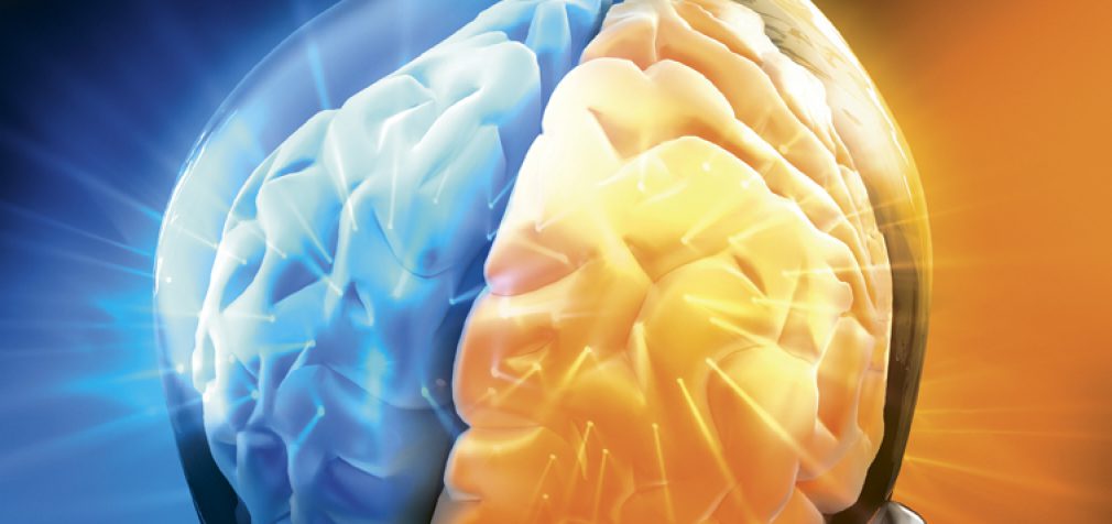 ENGAGING BOTH SIDES OF THE BRAIN
