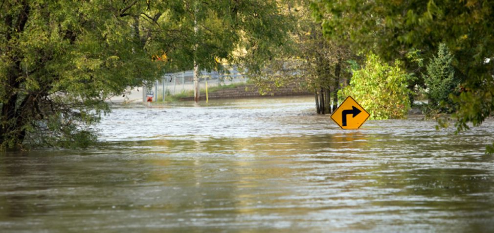 WASHING AWAY THE FALLACIES OF FLOOD