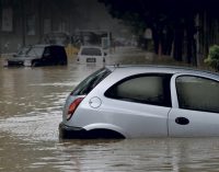 YOUNG PRIVATE FLOOD MARKET CONTINUES TO GROW