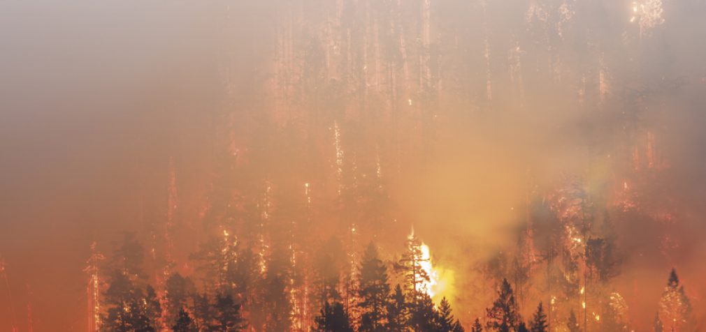WHERE THERE’S SMOKE, THERE’S FIRE