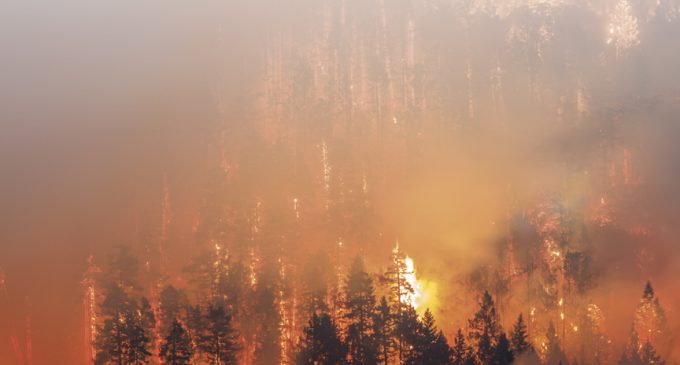WHERE THERE’S SMOKE, THERE’S FIRE