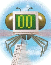 05p49.jpg