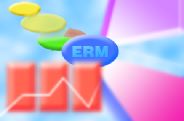 ERM graphic2