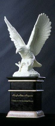 03rn10 eaglestif