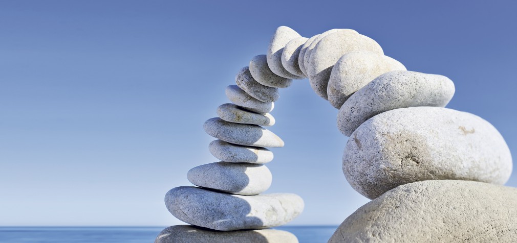 KEY LEGAL AND FINANCIAL COMPONENTS FOR AGENCY PERPETUATION