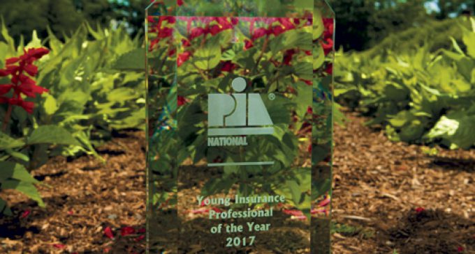 FROM PUPPIES AND KITTENS TO NATIONAL INSURANCE AWARD WINNER