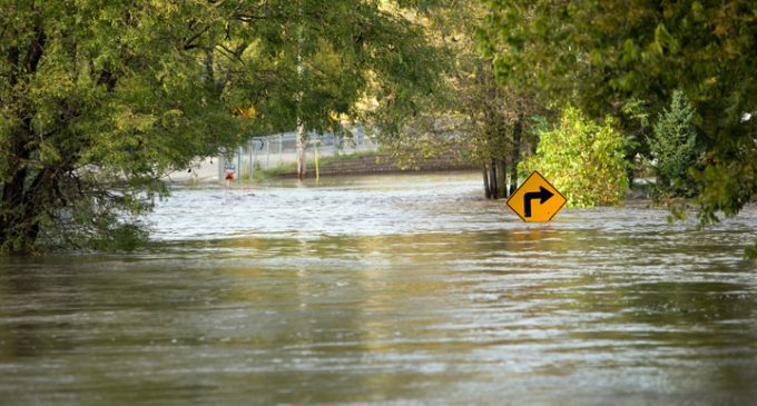 WASHING AWAY THE FALLACIES OF FLOOD