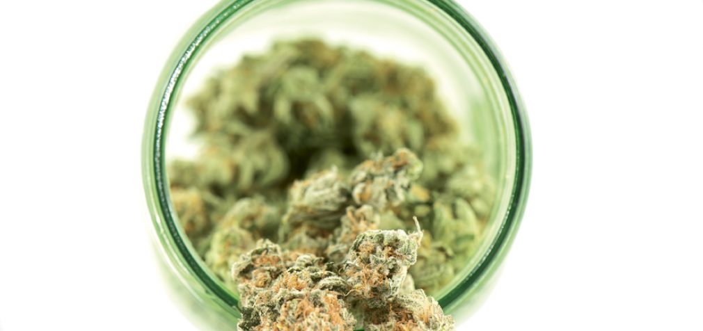 Reefer to Company: Product Liability Considerations for the Cannabis Industry