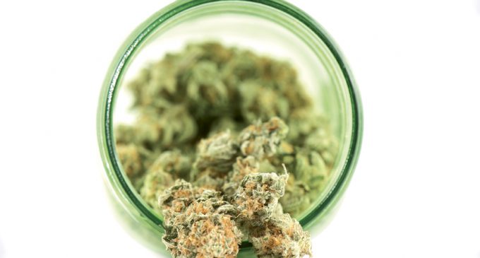 Reefer to Company: Product Liability Considerations for the Cannabis Industry