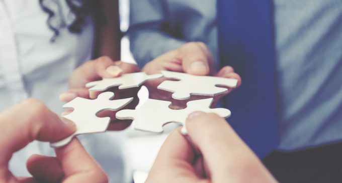 THE IMPACT OF AGENCY CONSOLIDATION