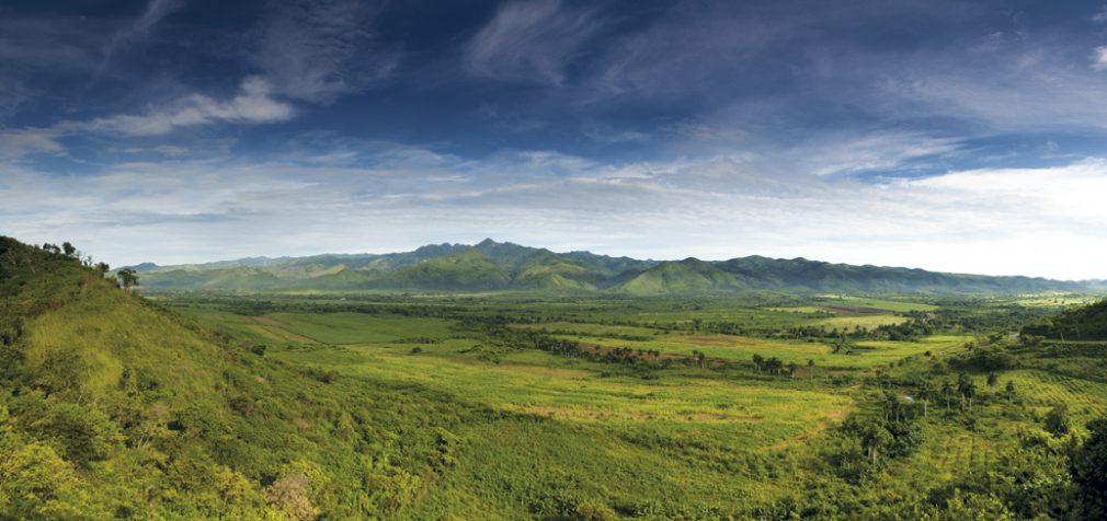 SURVEYING THE BENEFITS LANDSCAPE