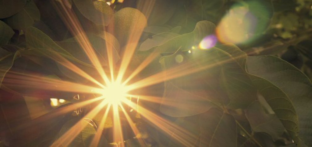 MAKING SPECIALTY MARKETS SHINE