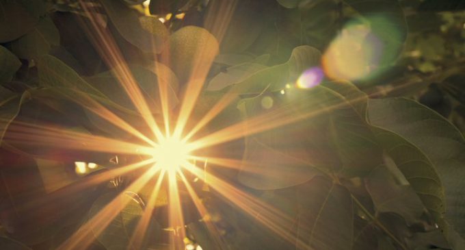 MAKING SPECIALTY MARKETS SHINE