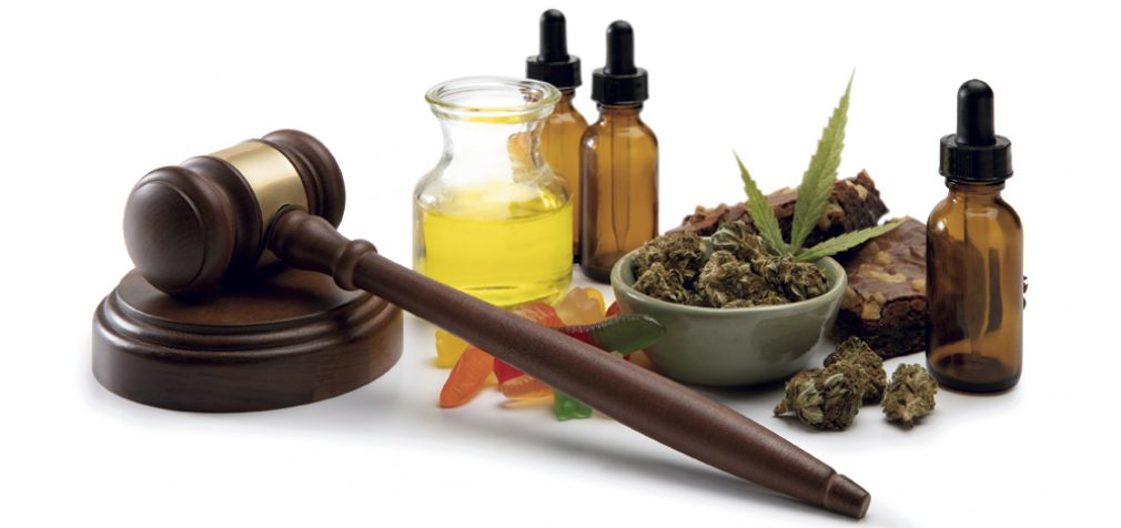CANNABIS INSURANCE
