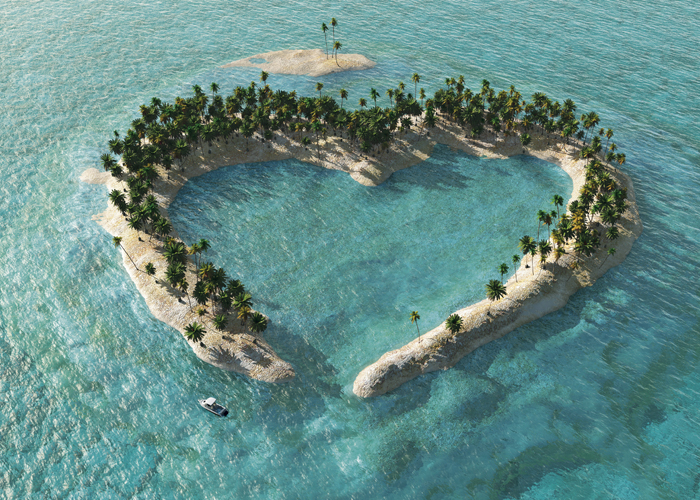 WORKERS COMPENSATION AN OASIS