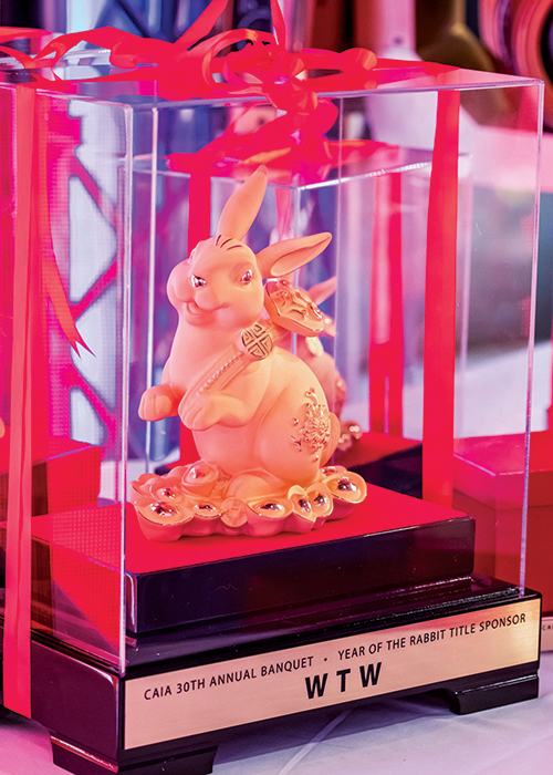 Chinese American Association