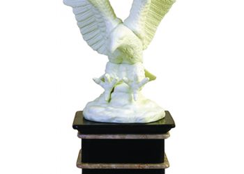 2023 RN Community Service Award Opportunity