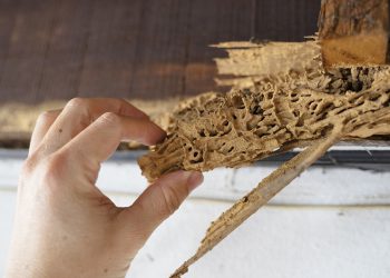 HOMEOWNERS INSURANCE AND HOME SALES