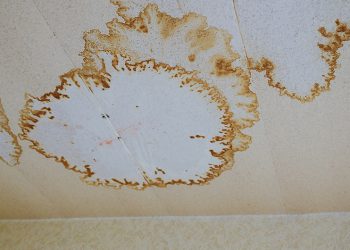 CONSTRUCTION DEFECTS