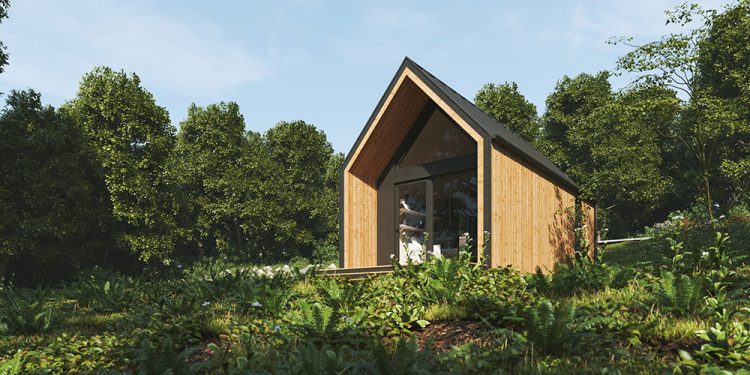 A HOME WITHIN A HOME