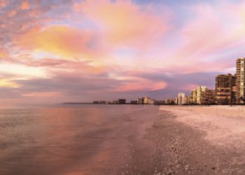 LATIN AMERICAN ASSOCIATION OF INSURANCE AGENCIES