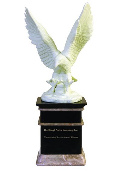 Community service award opportunity