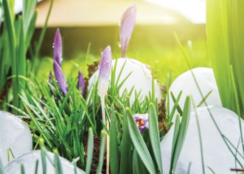 HELPING YOUR CLIENTS UNDERSTAND HAIL