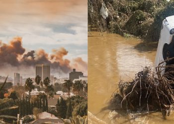 TRAUMA AND CATASTROPHES