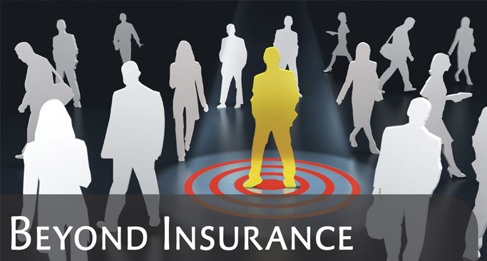 THE NICHE INSURANCE PLAYBOOK