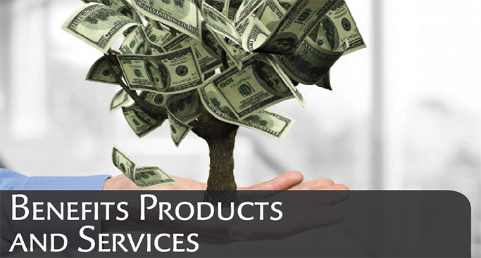 GUARANTEED INCOME PRODUCTS IN A DC PLAN