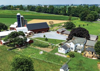 The Farmowners Policy: A Personal/Commercial Hybrid