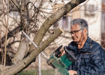 HEIGHTENED RISK PRACTICES