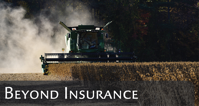 HARVEST THE FALL: TURN REFERRALS INTO REVENUE