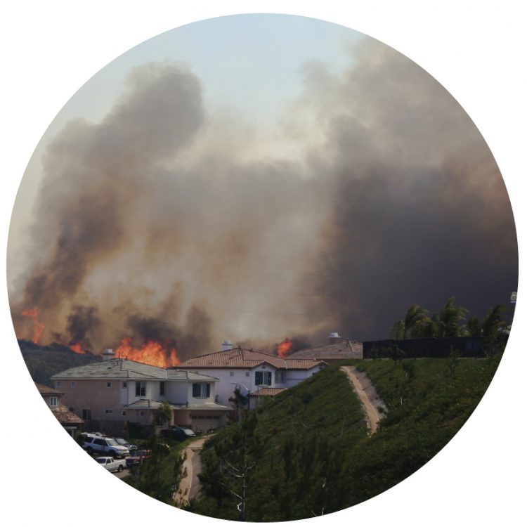 TRANSFORMING RISK INTO RESILIENCE