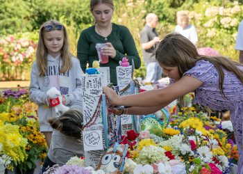MASS SHOOTINGS; MASS CONFUSION?