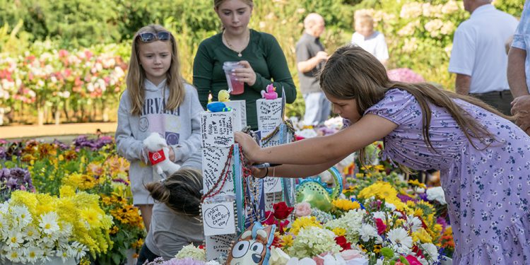 MASS SHOOTINGS; MASS CONFUSION?